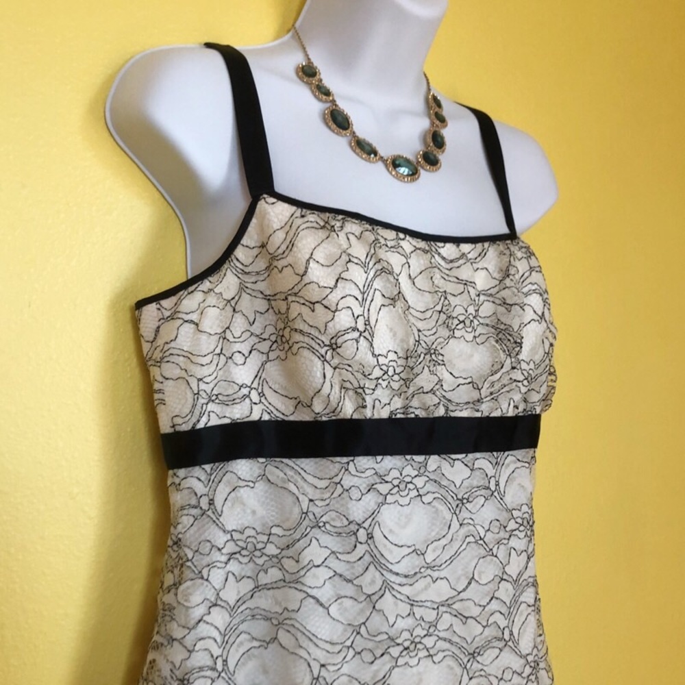 NWT Ann Taylor Lace Tank Blouse 6